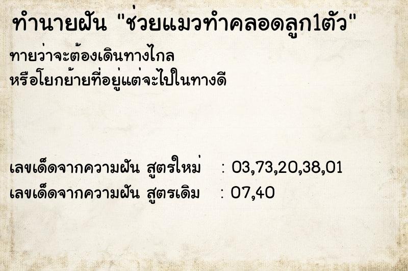 ทำนายฝันช่วยแมวทำคลอดลูก1ตัว ทำนายฝันทำนายฝันช่วยแมวทำคลอดลูก1ตัว