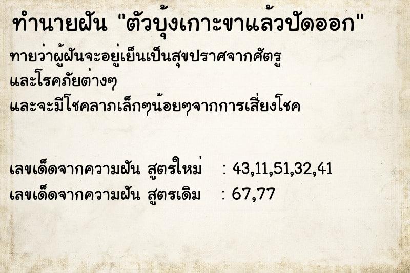 ทำนายฝันทำนายฝันตัวบุ้งเกาะขาแล้วปัดออก