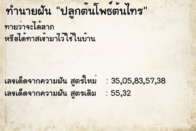 ทำนายฝันปลูกต้นโพธ์ต้นไทร ทำนายฝันทำนายฝันปลูกต้นโพธ์ต้นไทร