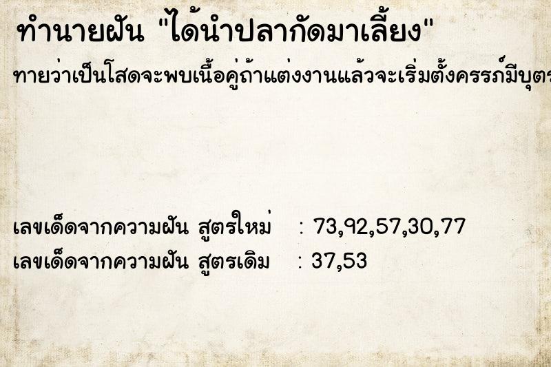 ทำนายฝันทำนายฝันได้นำปลากัดมาเลี้ยง