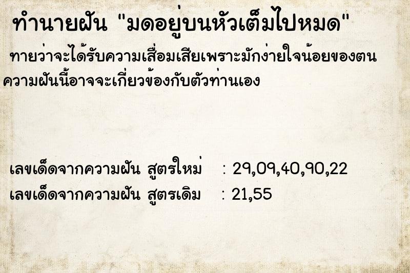 ทำนายฝันทำนายฝันมดอยู่บนหัวเต็มไปหมด