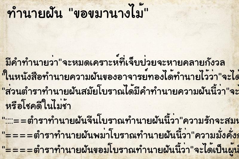 ทำนายฝันขอขมานางไม้ ทำนายฝันทำนายฝันขอขมานางไม้