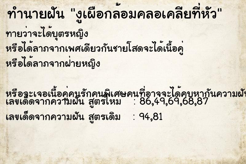 ทำนายฝันงูเผือกล้อมคลอเคลียที่หัว ทำนายฝันทำนายฝันงูเผือกล้อมคลอเคลียที่หัว