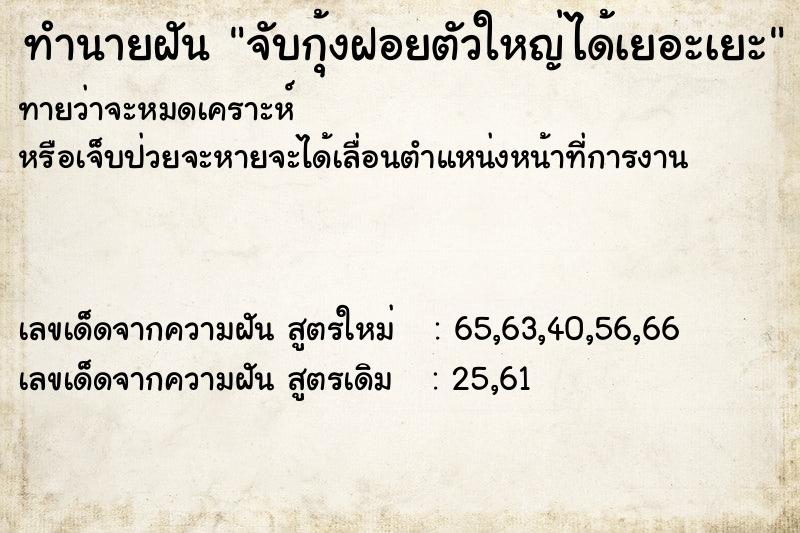 ทำนายฝันจับกุ้งฝอยตัวใหญ่ได้เยอะเยะ ทำนายฝันทำนายฝันจับกุ้งฝอยตัวใหญ่ได้เยอะเยะ