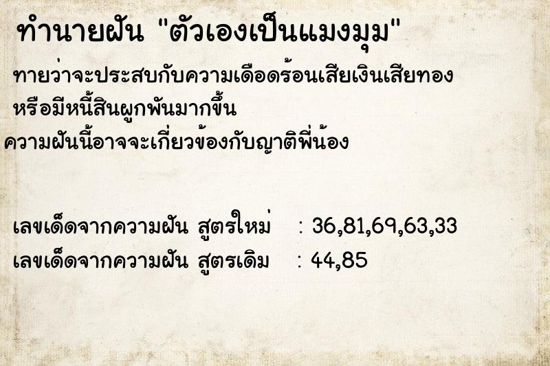 ทำนายฝันทำนายฝันตัวเองเป็นแมงมุม