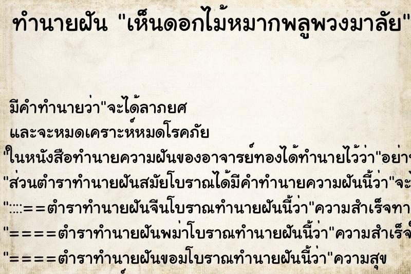 ทำนายฝันเห็นดอกไม้หมากพลูพวงมาลัย ทำนายฝันทำนายฝันเห็นดอกไม้หมากพลูพวงมาลัย