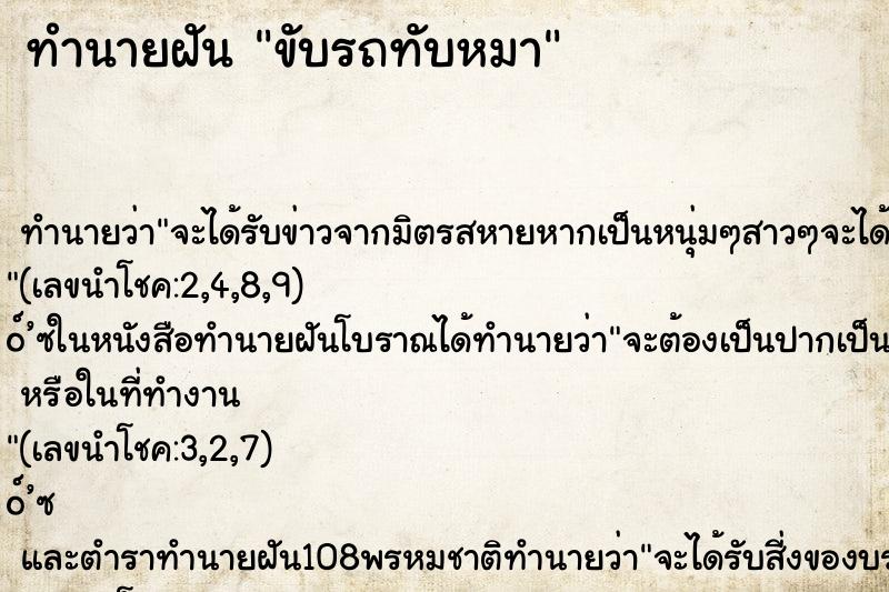 ทำนายฝัน ขับรถทับหมา