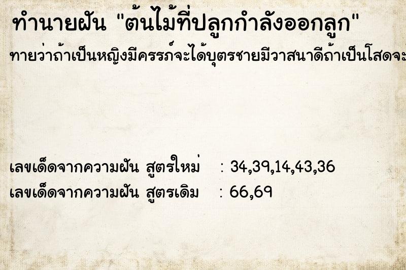 ทำนายฝันต้นไม้ที่ปลูกกำลังออกลูก ทำนายฝันทำนายฝันต้นไม้ที่ปลูกกำลังออกลูก