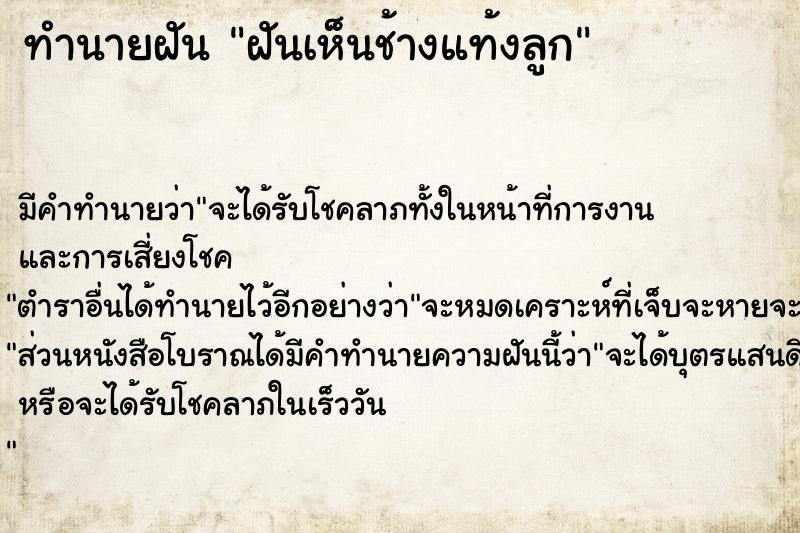 ทำนายฝัน ฝันเห็นช้างแท้งลูก ทำนายฝัน ฝันเห็นช้างแท้งลูก