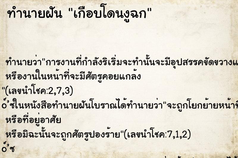 ทำนายฝัน เกือบโดนงูฉก ตำราโบราณ แม่นที่สุดในโลก