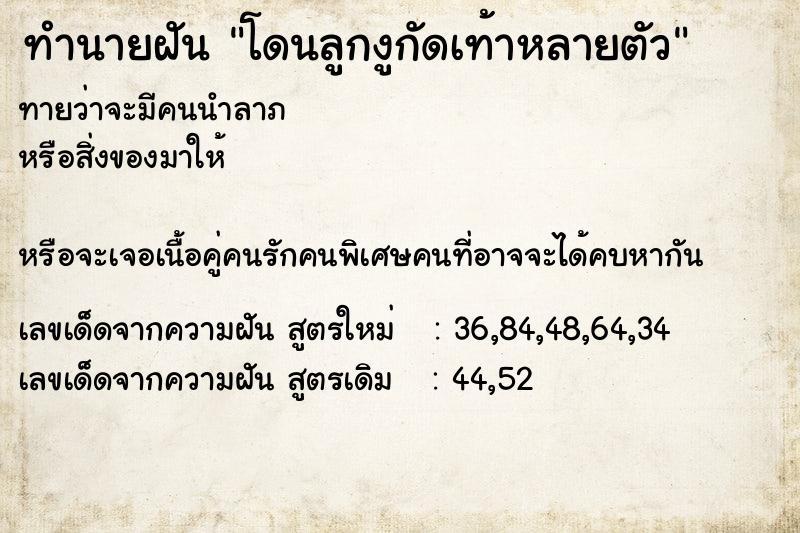 ทำนายฝันโดนลูกงูกัดเท้าหลายตัว ทำนายฝันทำนายฝันโดนลูกงูกัดเท้าหลายตัว