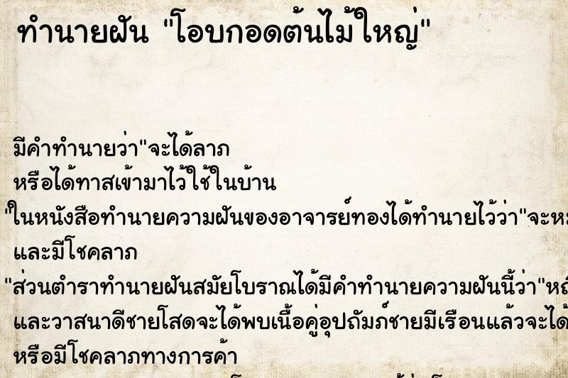 ทำนายฝัน โอบกอดต้นไม้ใหญ่ ทำนายฝัน โอบกอดต้นไม้ใหญ่