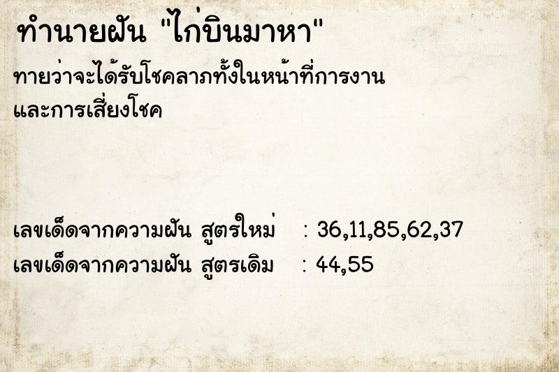 ทำนายฝันทำนายฝันไก่บินมาหา