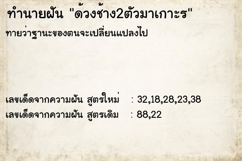 ทำนายฝันด้วงช้าง2ตัวมาเกาะร ทำนายฝันทำนายฝันด้วงช้าง2ตัวมาเกาะร