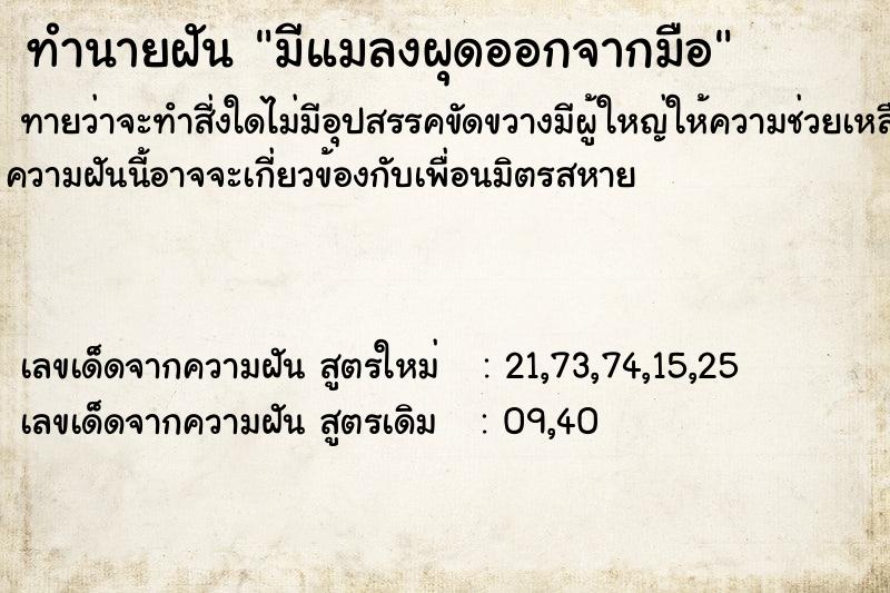 ทำนายฝันมีแมลงผุดออกจากมือ ทำนายฝันทำนายฝันมีแมลงผุดออกจากมือ