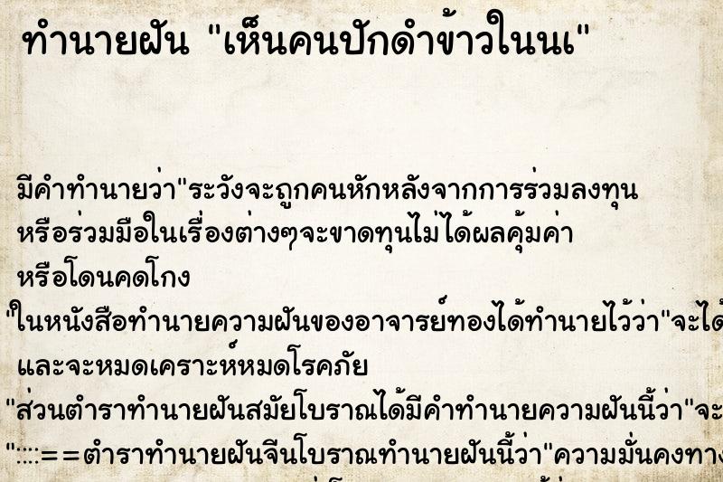 ทำนายฝันเห็นคนปักดำข้าวในนà ทำนายฝันทำนายฝันเห็นคนปักดำข้าวในนà