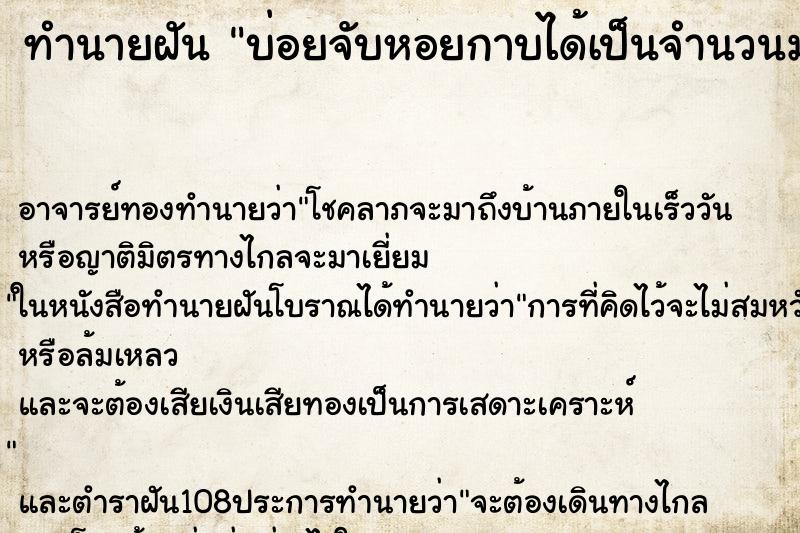 ทำนายฝันบ่อยจับหอยกาบได้เป็นจำนวนมาก ทำนายฝันทำนายฝันบ่อยจับหอยกาบได้เป็นจำนวนมาก