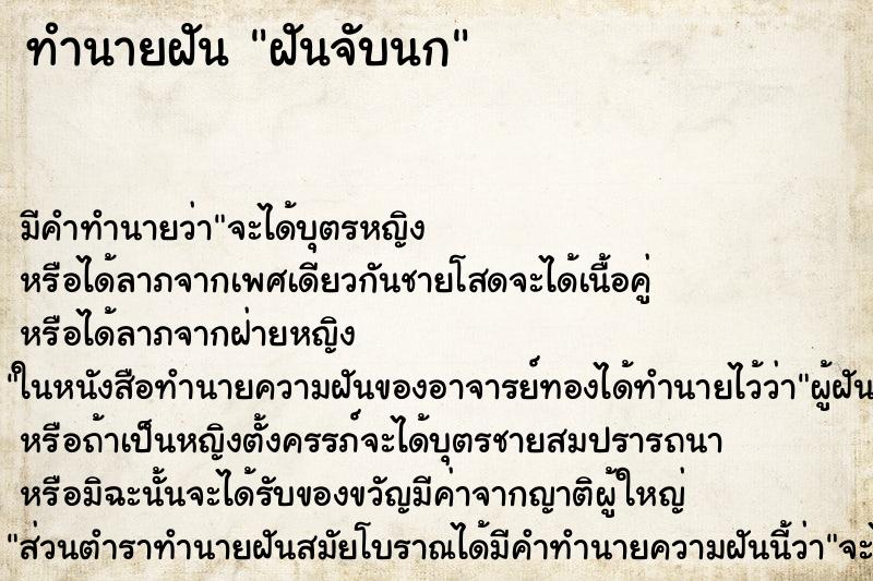 ทำนายฝัน ฝันจับนก ทำนายฝัน ฝันจับนก