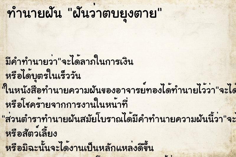 ทำนายฝัน ฝันว่าตบยุงตาย ทำนายฝัน ฝันว่าตบยุงตาย