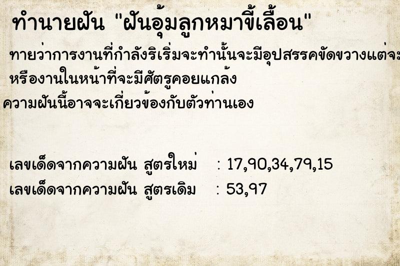 ทำนายฝันฝันอุ้มลูกหมาขี้เลื้อน ทำนายฝันทำนายฝันฝันอุ้มลูกหมาขี้เลื้อน