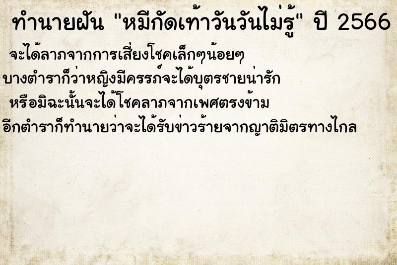 ทำนายฝันทำนายฝันหมีกัดเท้าวันวันไม่รู้