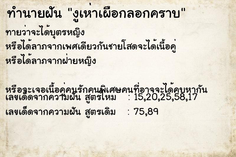 ทำนายฝันงูเห่าเผือกลอกคราบ ทำนายฝันทำนายฝันงูเห่าเผือกลอกคราบ