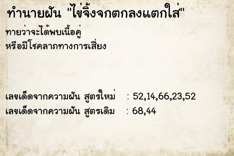 ทำนายฝันทำนายฝันไข่จิ้งจกตกลงแตกใส่