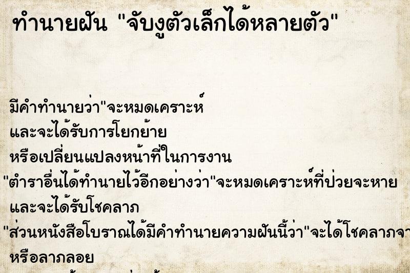 ทำนายฝัน จับงูตัวเล็กได้หลายตัว ทำนายฝัน จับงูตัวเล็กได้หลายตัว