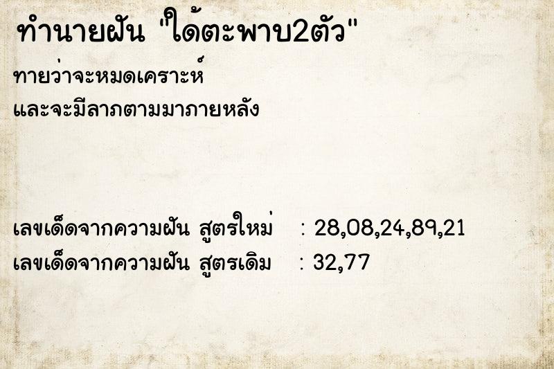 ทำนายฝันใด้ตะพาบ2ตัว ทำนายฝันทำนายฝันใด้ตะพาบ2ตัว