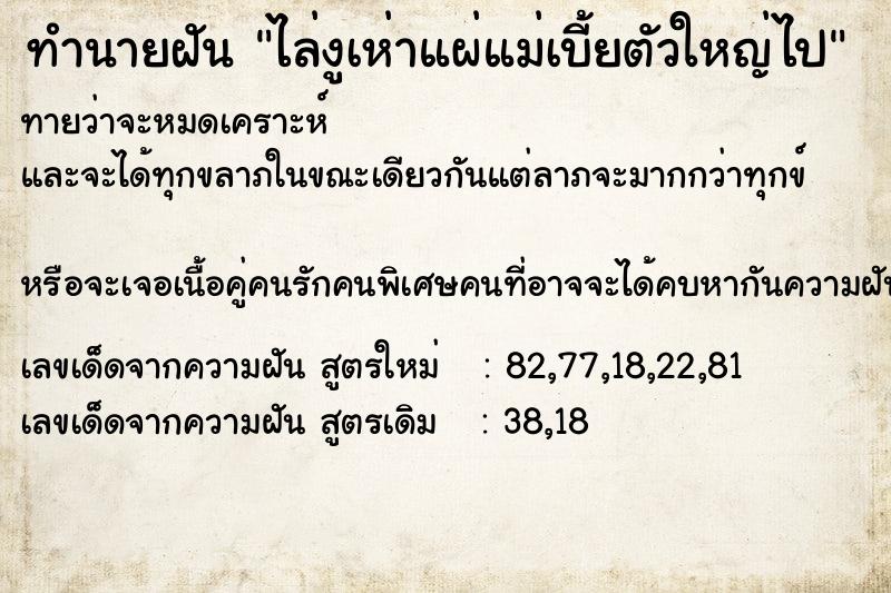 ทำนายฝันทำนายฝันไล่งูเห่าแผ่แม่เบี้ยตัวใหญ่ไป