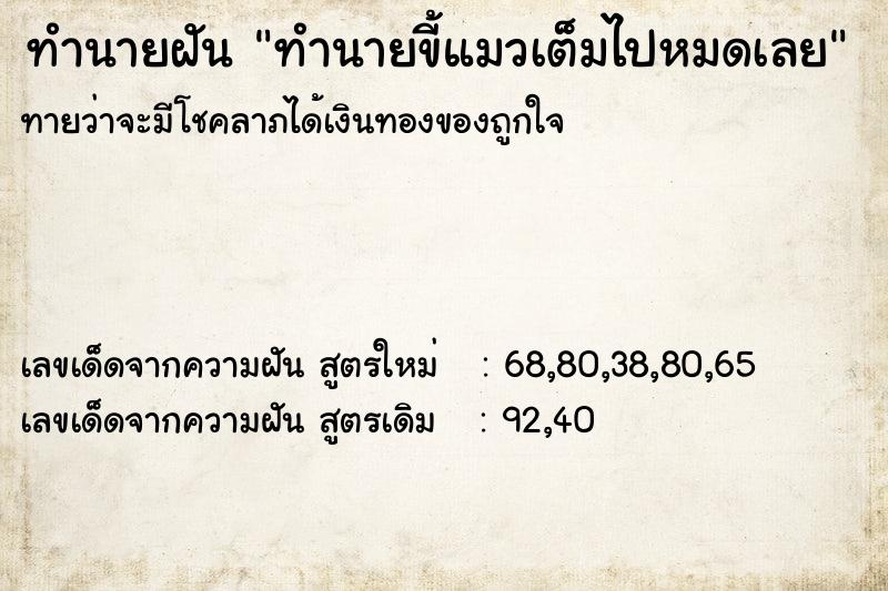 ทำนายฝันทำนายขี้แมวเต็มไปหมดเลย ทำนายฝันทำนายฝันทำนายขี้แมวเต็มไปหมดเลย