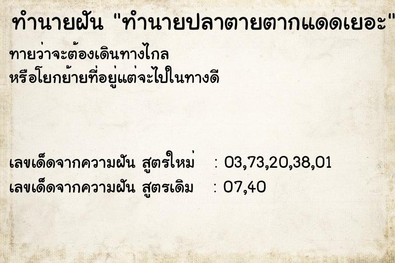 ทำนายฝันทำนายปลาตายตากแดดเยอะ ทำนายฝันทำนายฝันทำนายปลาตายตากแดดเยอะ