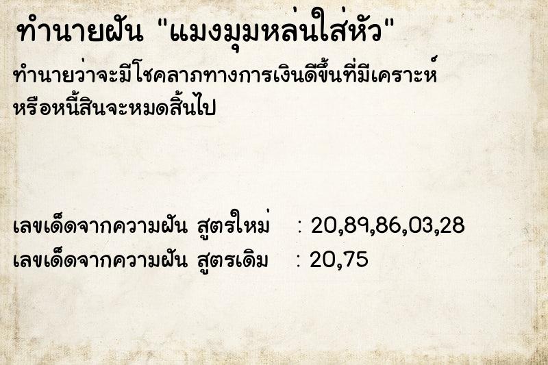 ทำนายฝันแมงมุมหล่นใส่หัว ทำนายฝันทำนายฝันแมงมุมหล่นใส่หัว