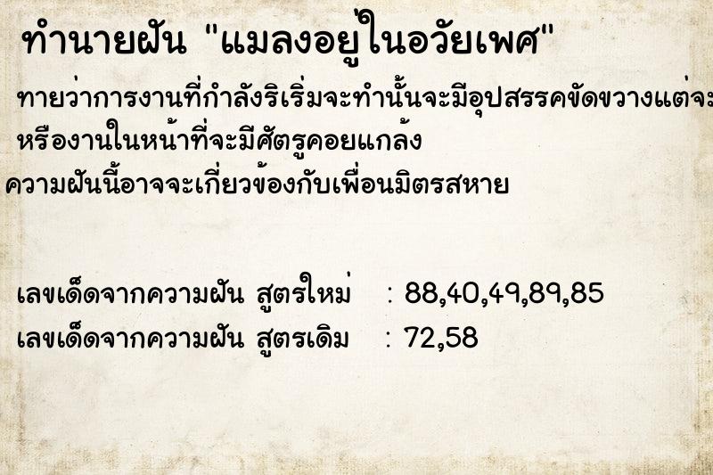 ทำนายฝันทำนายฝันแมลงอยู่ในอวัยเพศ