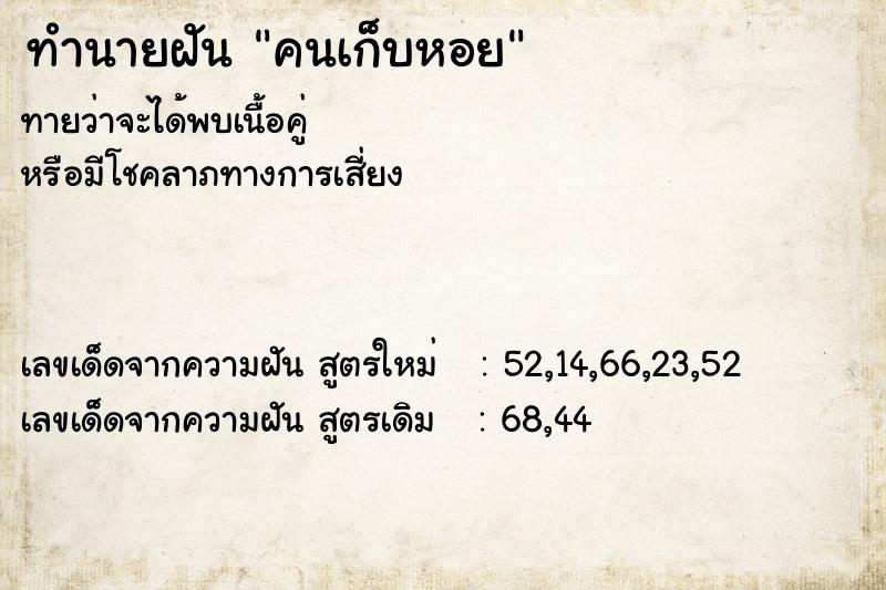 ทำนายฝันทำนายฝันคนเก็บหอย