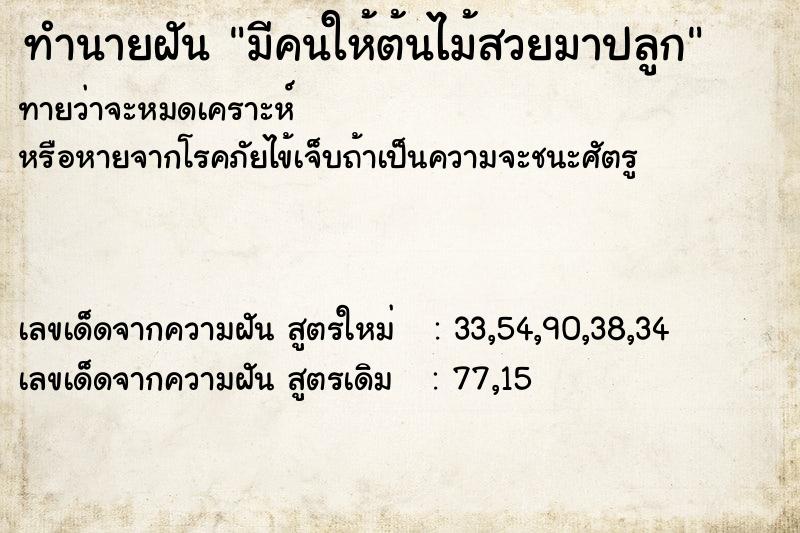 ทำนายฝันมีคนให้ต้นไม้สวยมาปลูก ทำนายฝันทำนายฝันมีคนให้ต้นไม้สวยมาปลูก