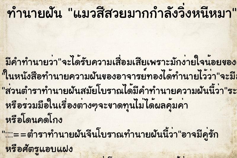 ทำนายฝัน แมวสีสวยมากกำลังวิ่งหนีหมา ทำนายฝัน แมวสีสวยมากกำลังวิ่งหนีหมา