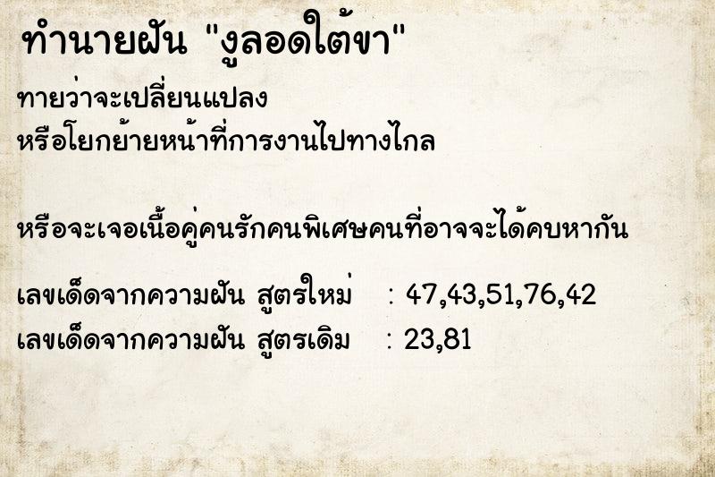 ทำนายฝันงูลอดใต้ขา ทำนายฝันทำนายฝันงูลอดใต้ขา