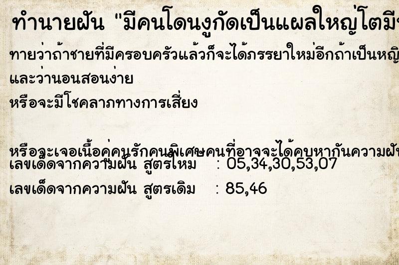 ทำนายฝันทำนายฝันมีคนโดนงูกัดเป็นแผลใหญ่โตมีหนอน