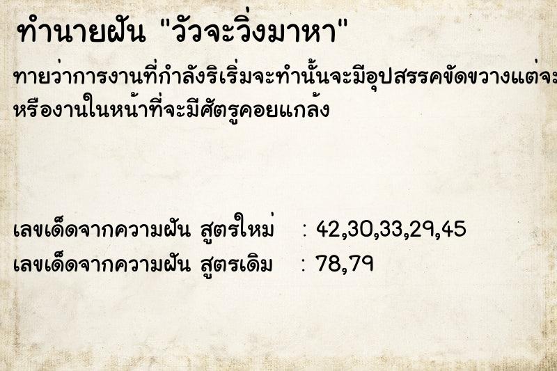 ทำนายฝัน วัวจะวิ่งมาหา ทำนายฝัน วัวจะวิ่งมาหา
