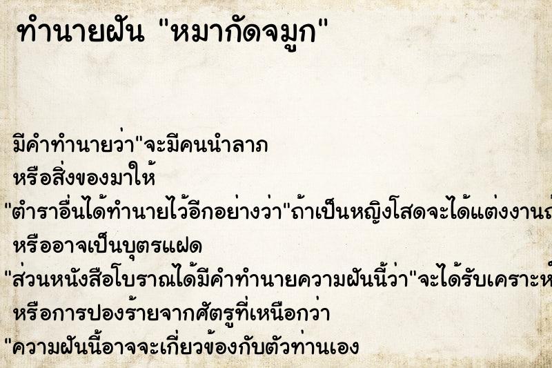 ทำนายฝัน หมากัดจมูก ทำนายฝัน หมากัดจมูก