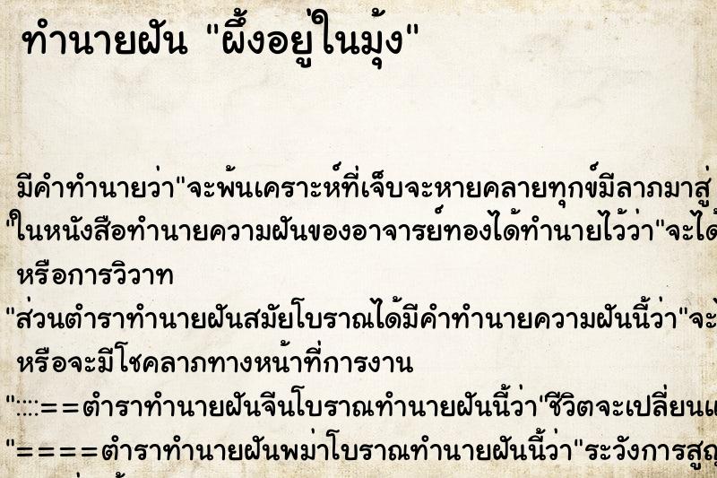 ทำนายฝันทำนายฝันผึ้งอยู่ในมุ้ง