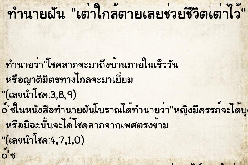 ทำนายฝันทำนายฝันเต่าใกล้ตายเลยช่วยชีวิตเต่าไว้