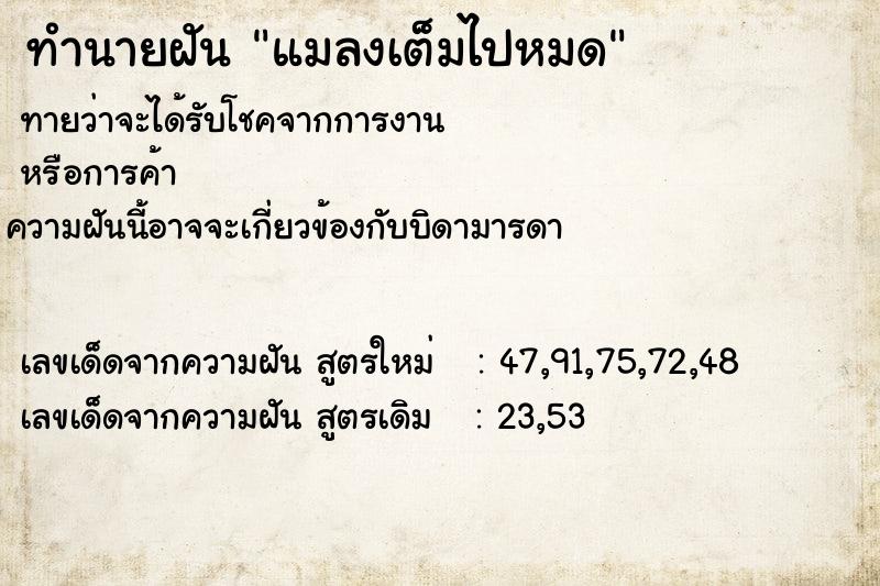 ทำนายฝัน แมลงเต็มไปหมด ทำนายฝัน แมลงเต็มไปหมด