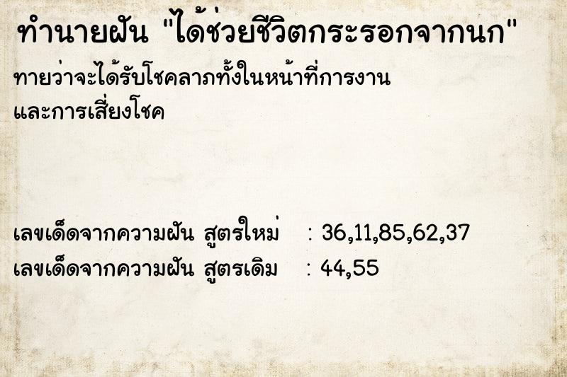 ทำนายฝันทำนายฝันได้ช่วยชีวิตกระรอกจากนก