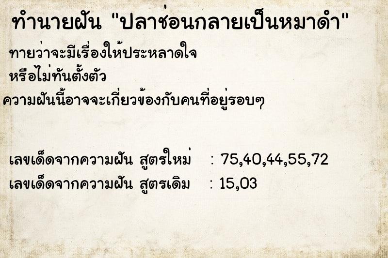 ทำนายฝัน ปลาช่อนกลายเป็นหมาดำ ทำนายฝัน ปลาช่อนกลายเป็นหมาดำ
