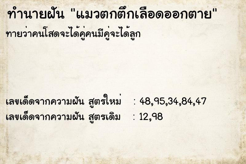 ทำนายฝัน แมวตกตึกเลือดออกตาย ทำนายฝัน แมวตกตึกเลือดออกตาย