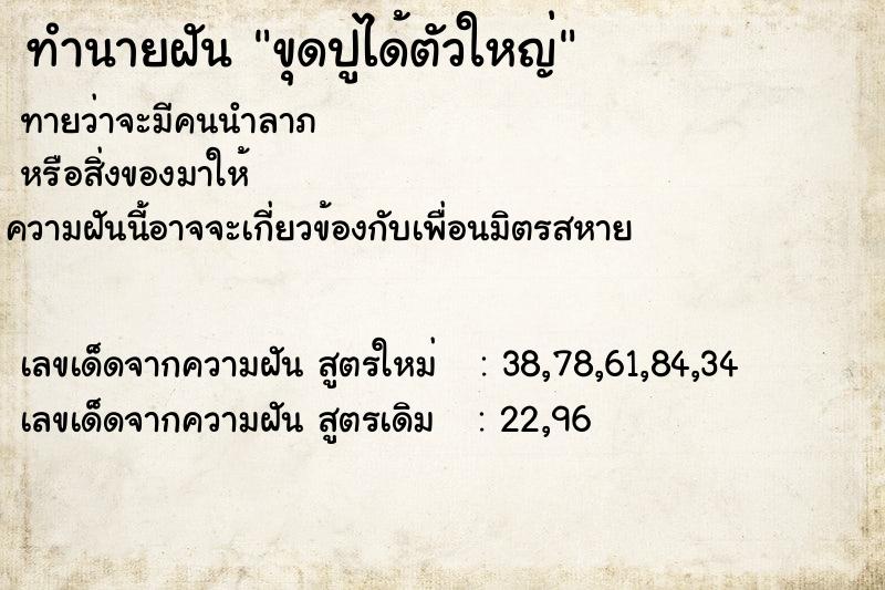 ทำนายฝันขุดปูได้ตัวใหญ่ ทำนายฝันทำนายฝันขุดปูได้ตัวใหญ่