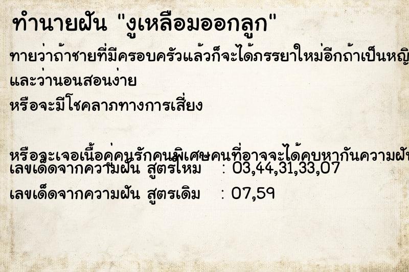 ทำนายฝันงูเหลือมออกลูก ทำนายฝันทำนายฝันงูเหลือมออกลูก