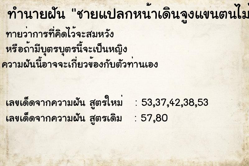 ทำนายฝันทำนายฝันชายแปลกหน้าเดินจูงแขนตนไม่ปล่อย